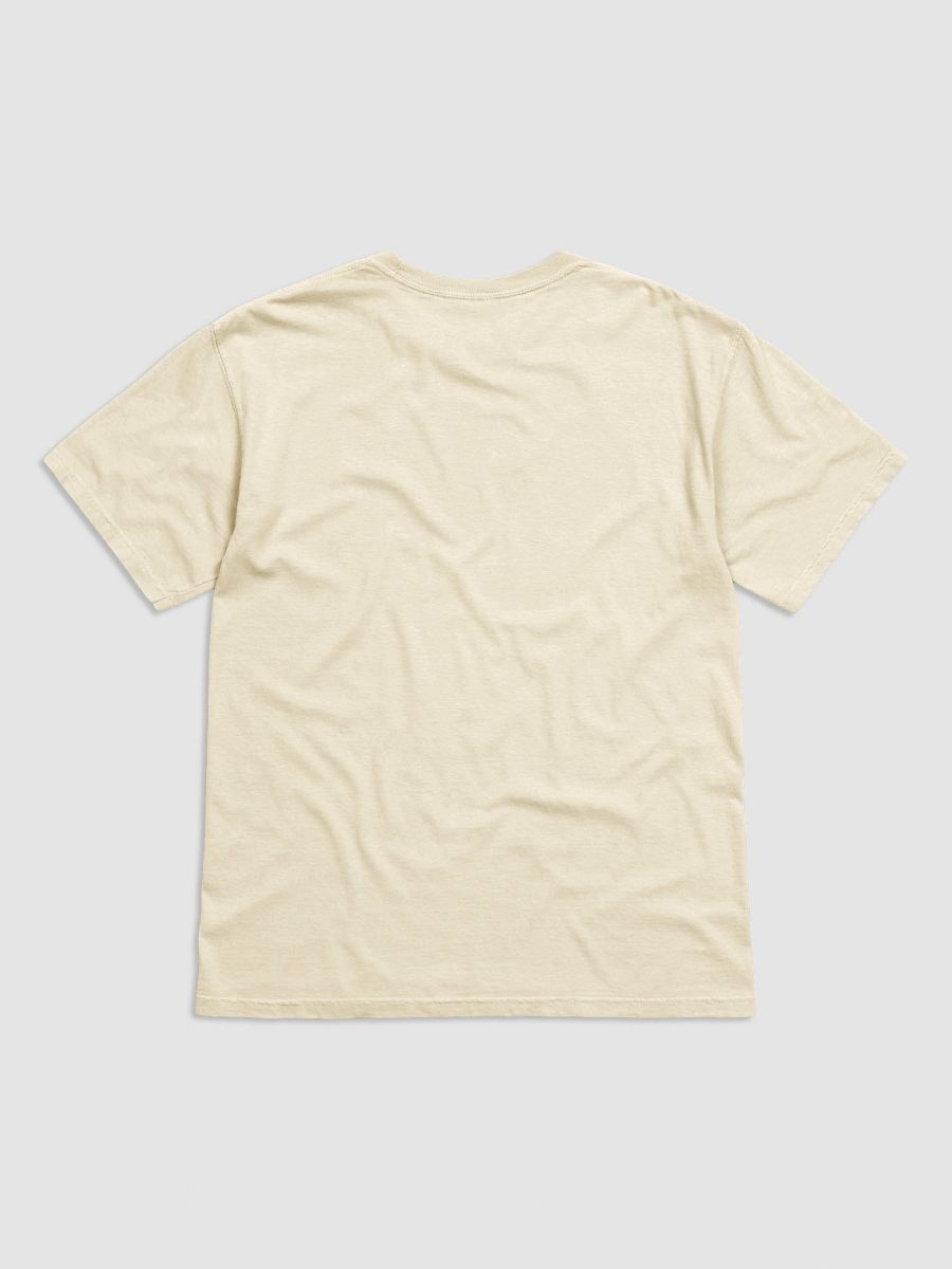 BBQ BEER FREEDOM T-Shirt product image (2)