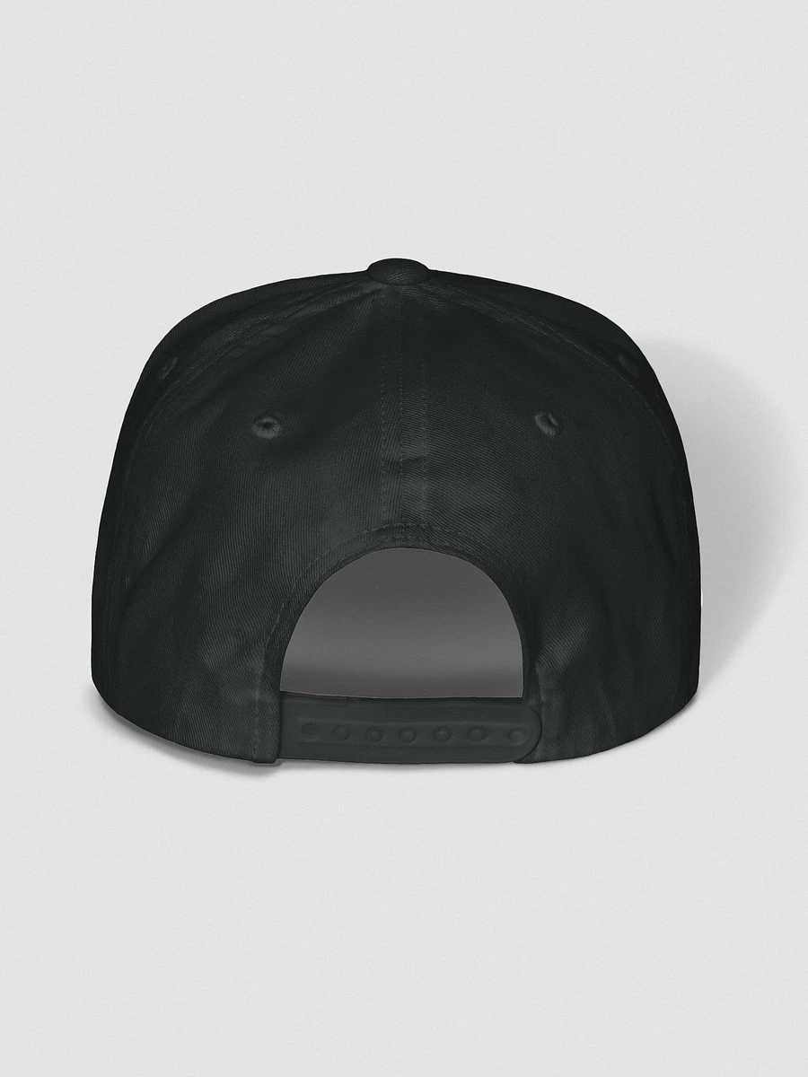 Vpinhub Snapback Hat product image (27)