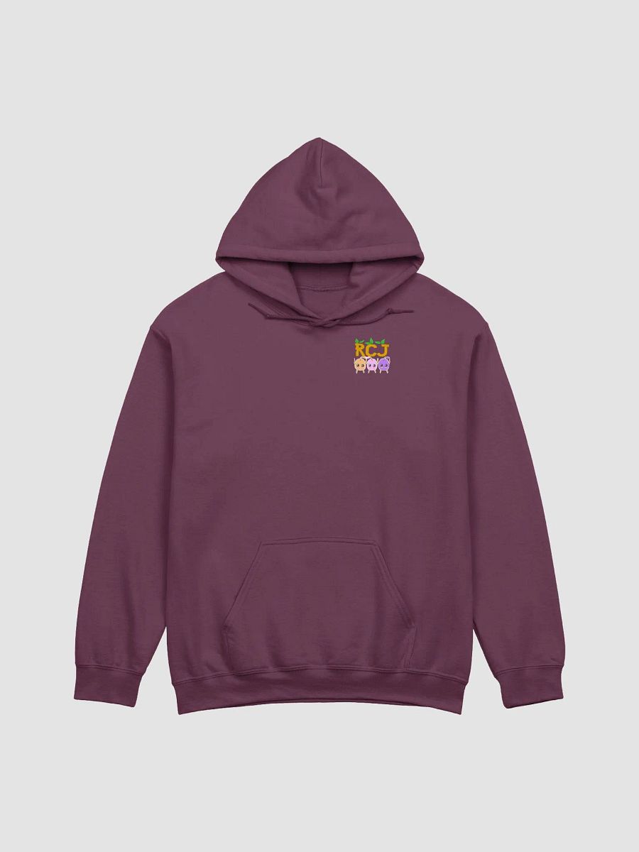 RCJ Hoodie product image (1)