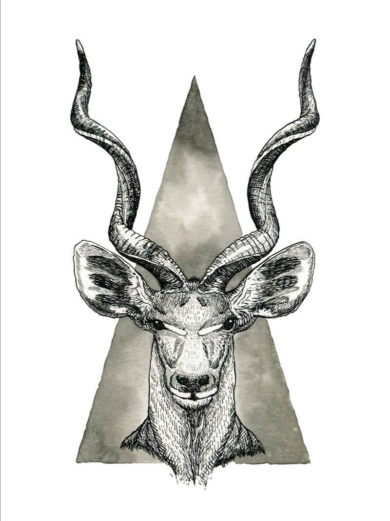 print : kudu product image (3)