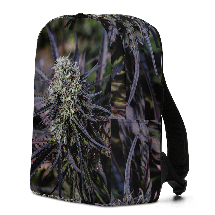 Royal Purple Cultivated Simple Backpack product image (2)