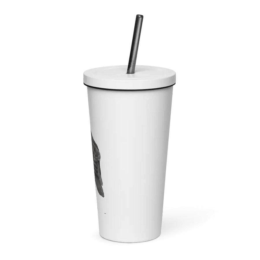Barn Owl Drawing Straw Cup product image (3)