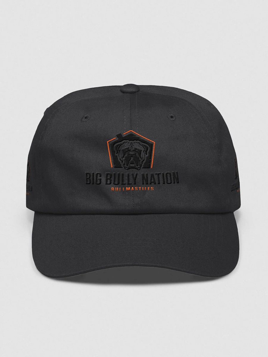 BBN Logo 1 Dad Hat product image (7)