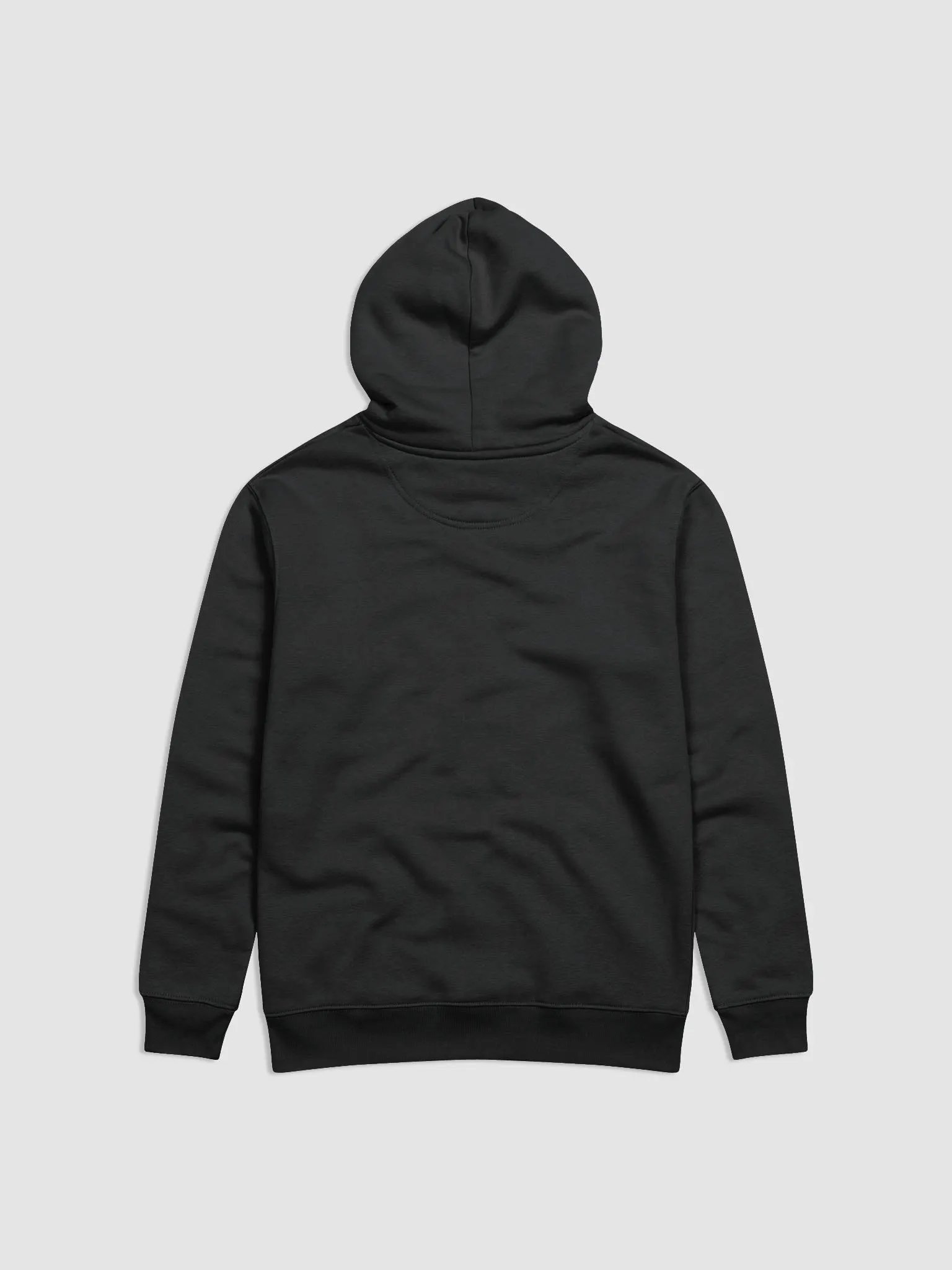 Holy Carp: Stanley/Stella Unisex Eco Hoodie product image (2)