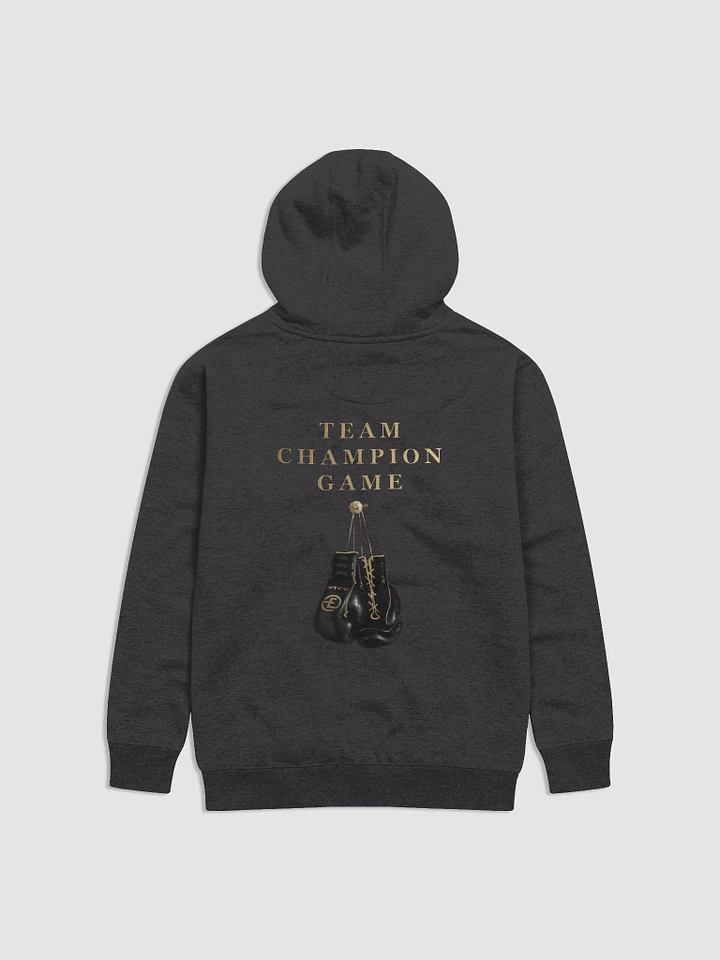 Team Champion Game Hoodie product image (4)
