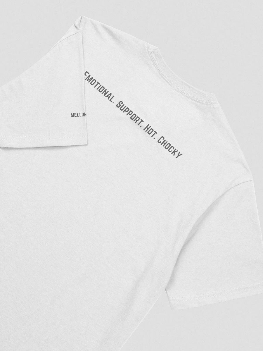 eshc t-shirt product image (8)