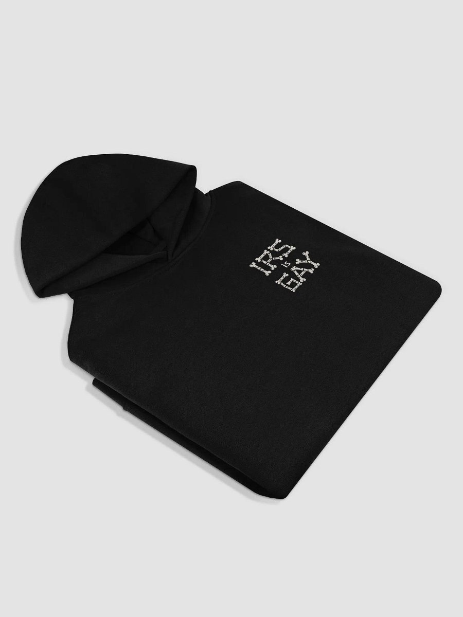 IRS IS GAY BONEZ HOODIE product image (3)