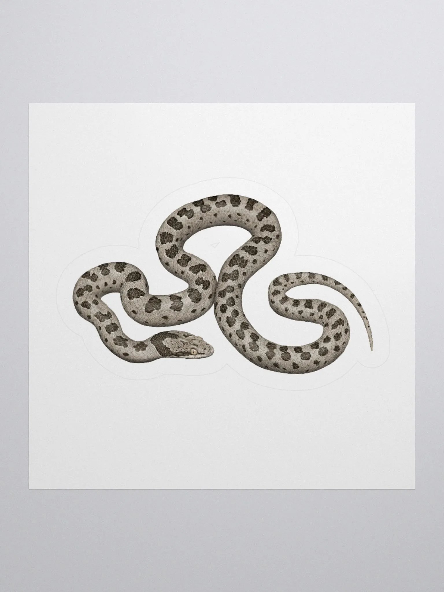 Die-Cut Sticker – Desert Nightsnake product image (1)