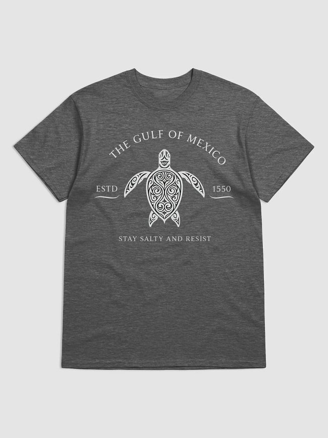 Stay Salty Gulf of Mexico Shirt