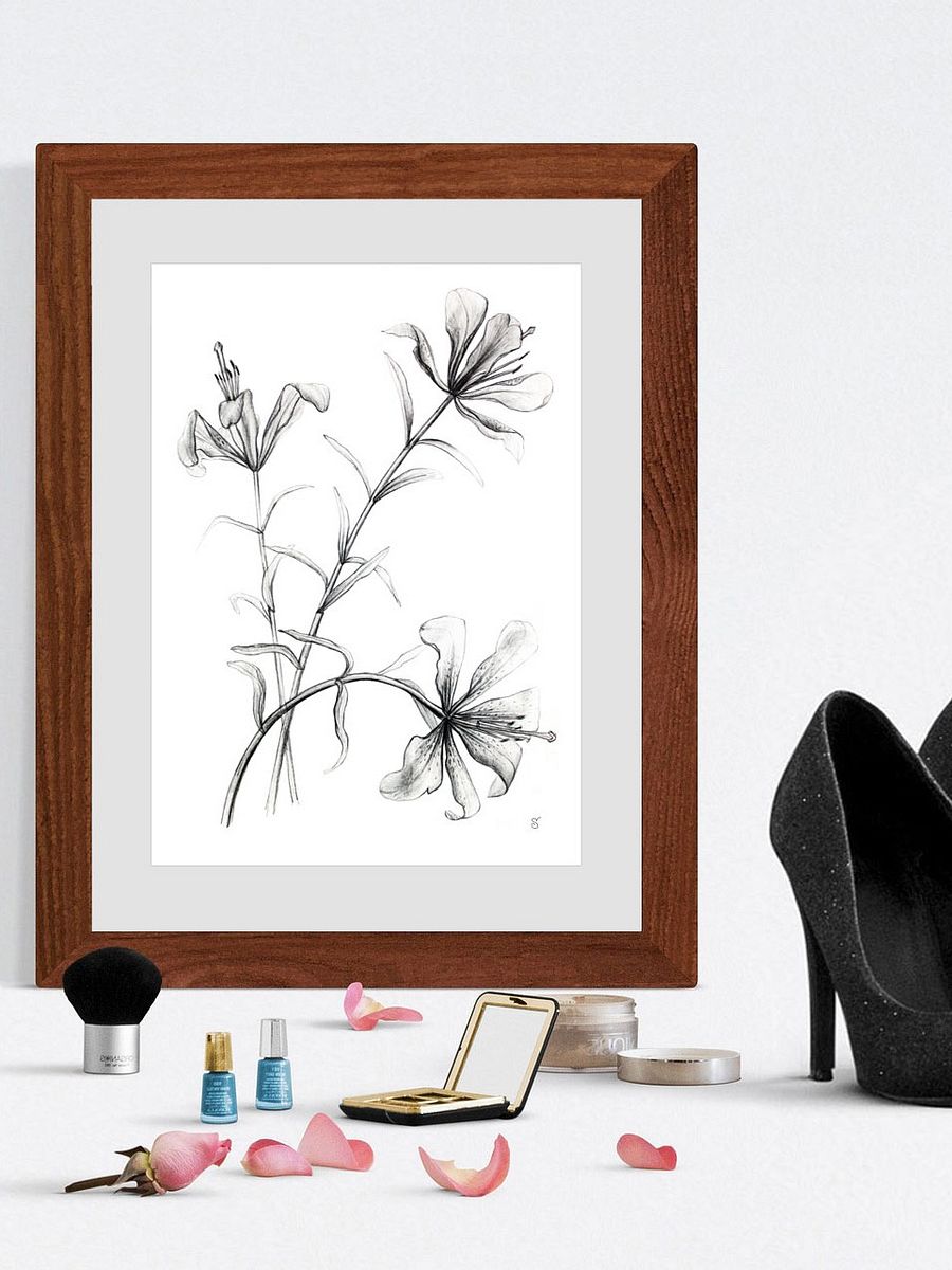 Lily Botanical Drawing Poster - Wild Elegant Flowers product image (5)