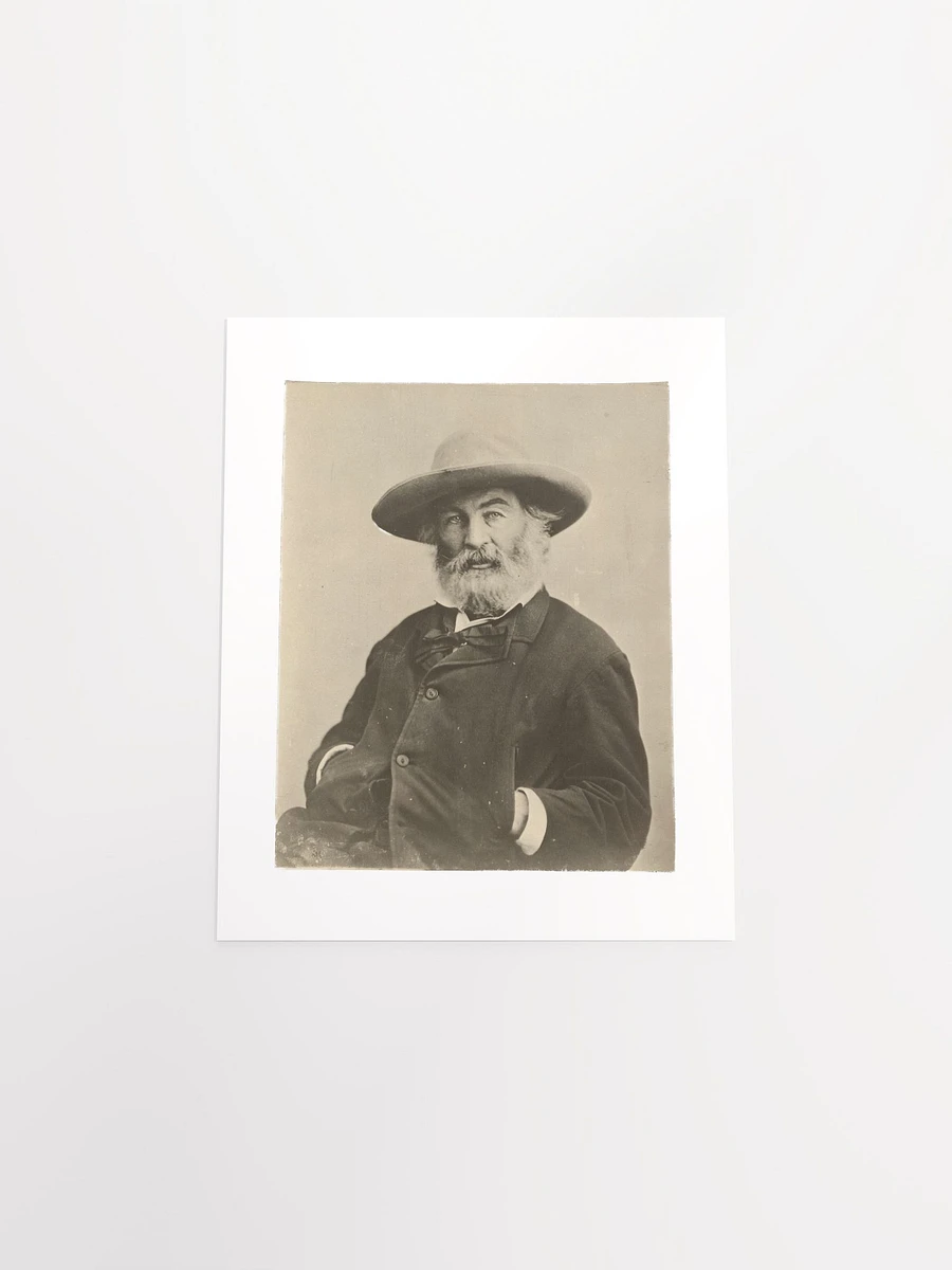 Walt Whitman by Mathew Brady? (c. 1870) - Print product image (12)