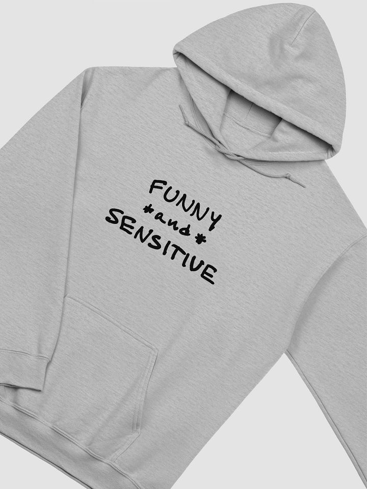 FUNNY *and* SENSITIVE classic hoodie product image (61)