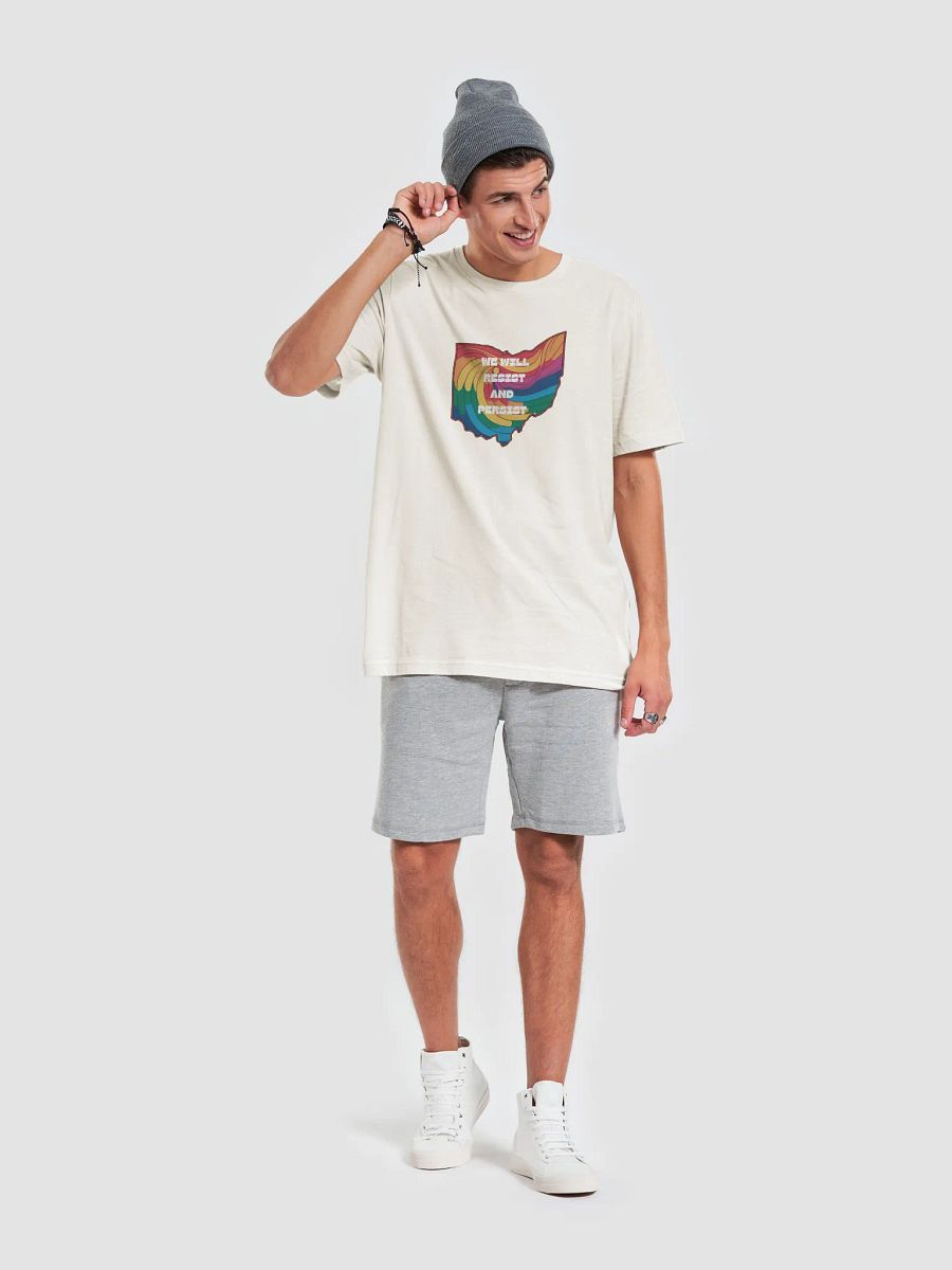 We Will Resist and Persist Tee product image (64)
