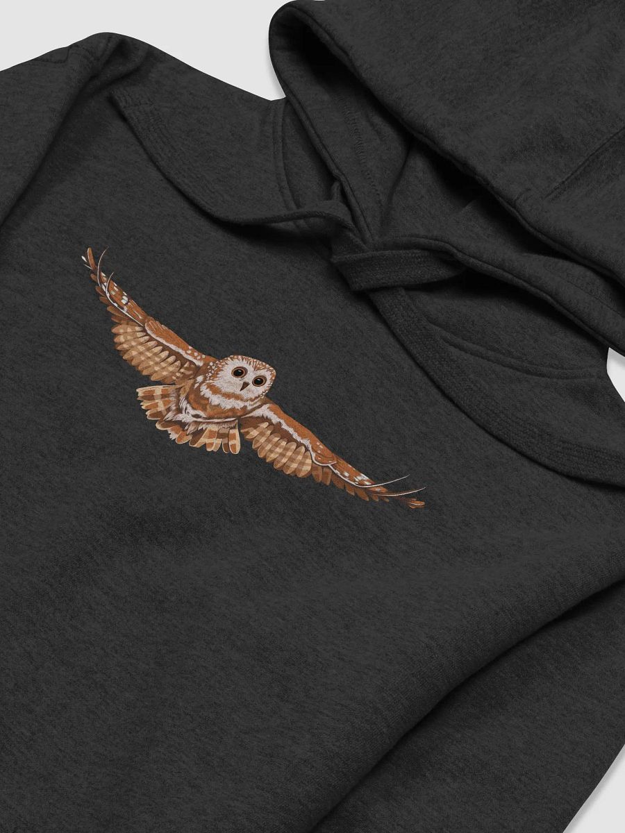 Fall Edition Hoodie product image (11)