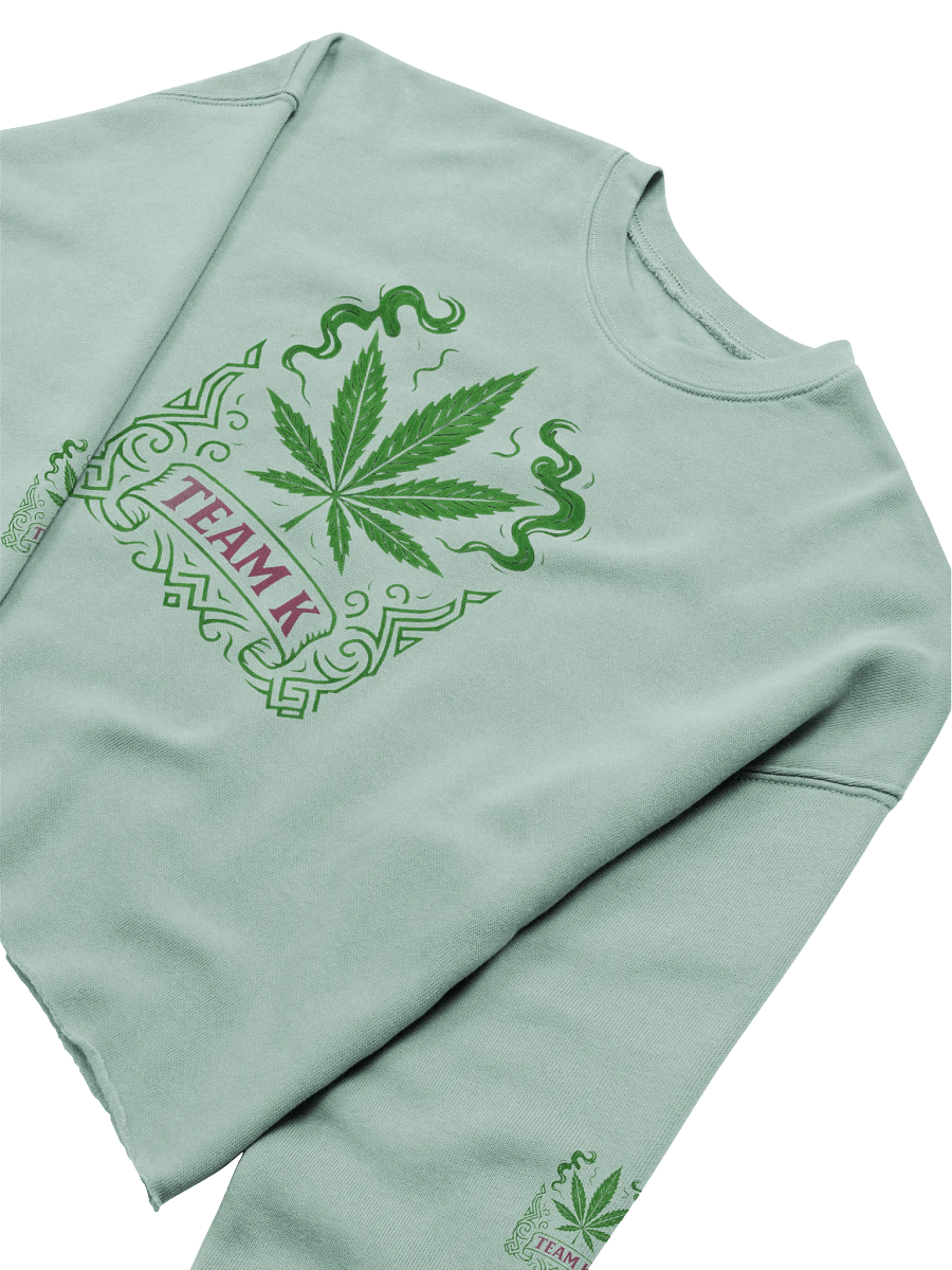 Team K V-7 Crop Sweatshirt product image (5)