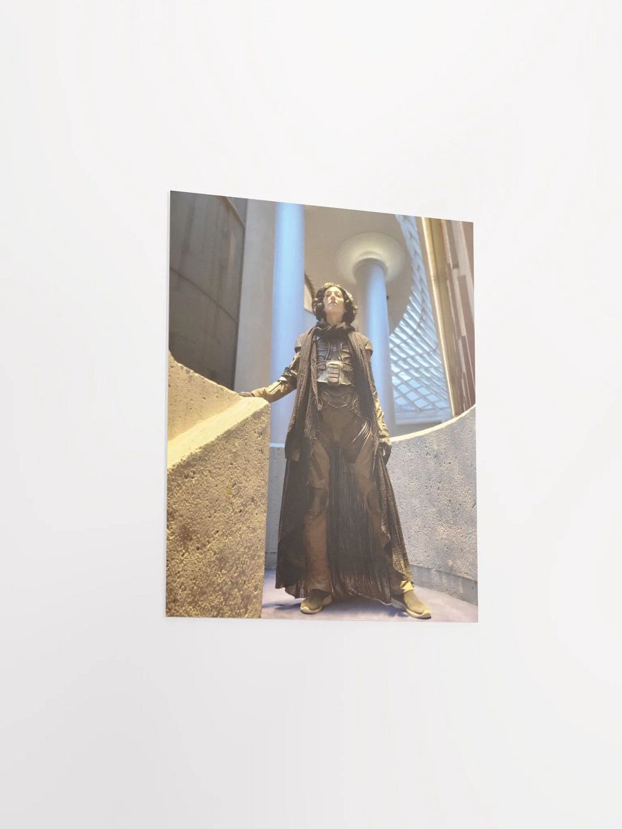 Dune Cosplay Print product image (3)