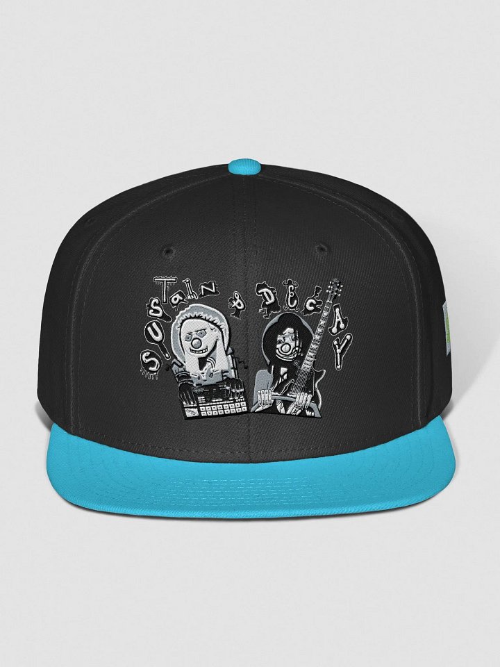 Sustain & Decay Snapback- Cartoon Logo product image (4)