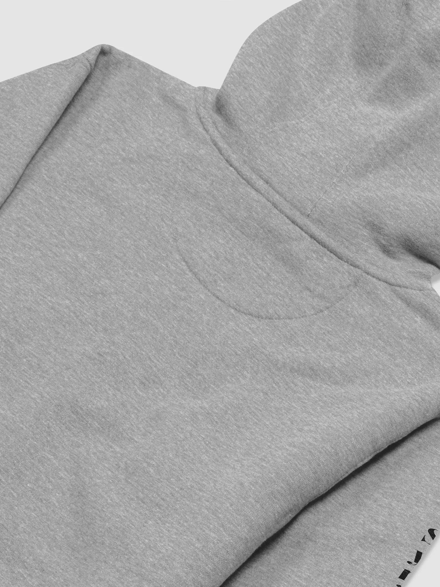 Classic Logo Thick Hoodie - Black Logo product image (4)