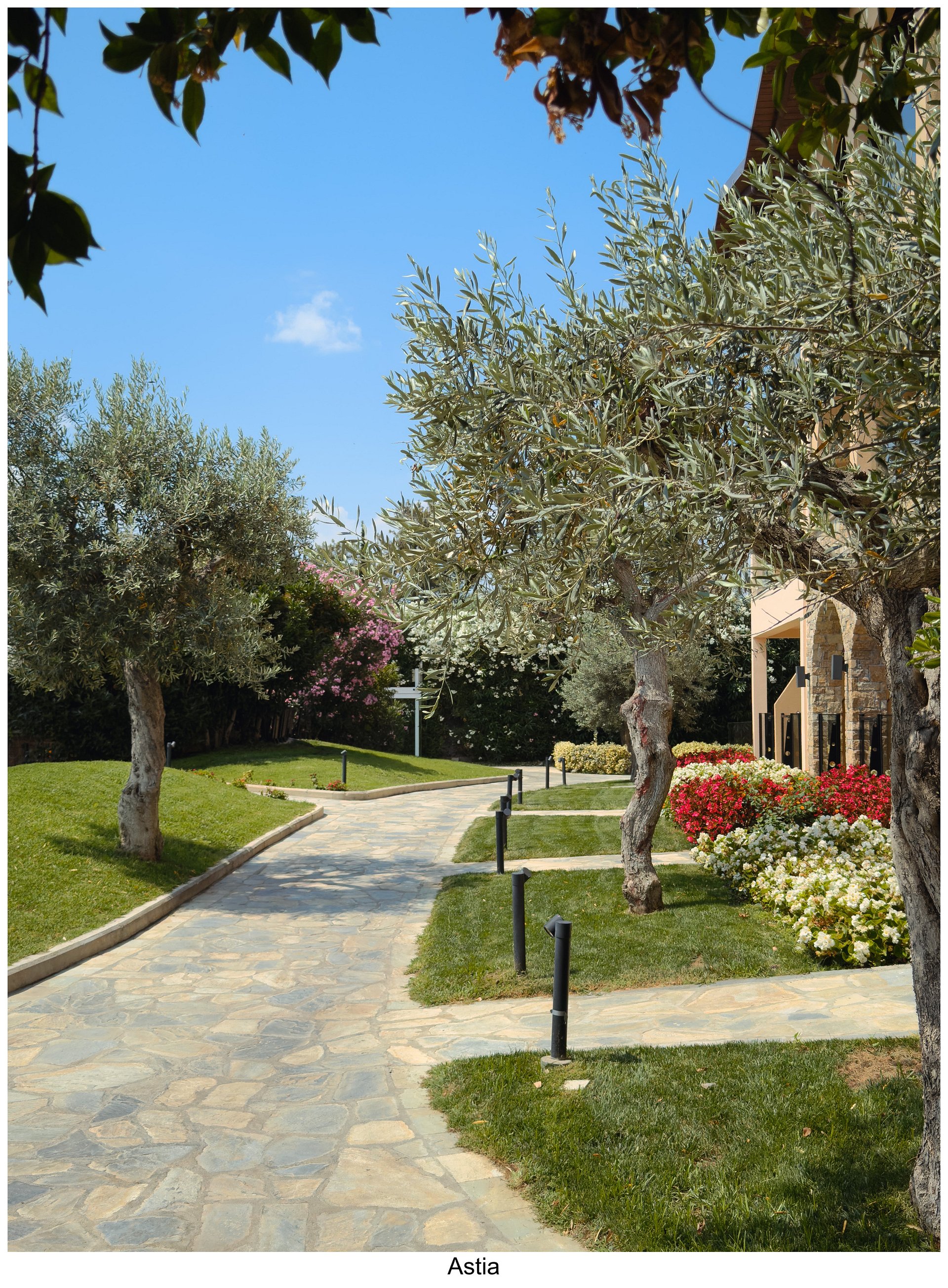 Fujify [Apple] Lightroom Profiles product image (2)