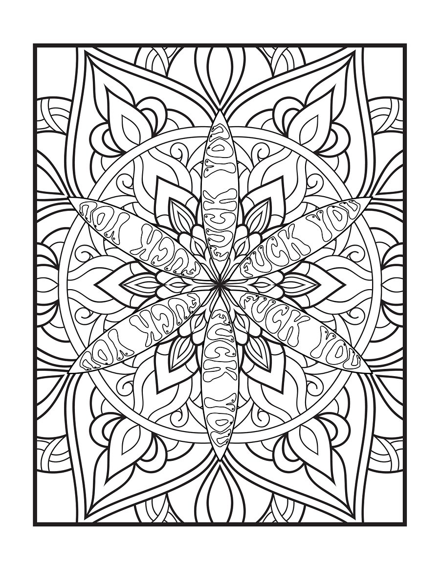 Art & Expletives, The Everyday Swears Version- Swear Word Coloring Book for Adults | Printable | Cuss Words | Sweary Phrases | Curse Words product image (2)