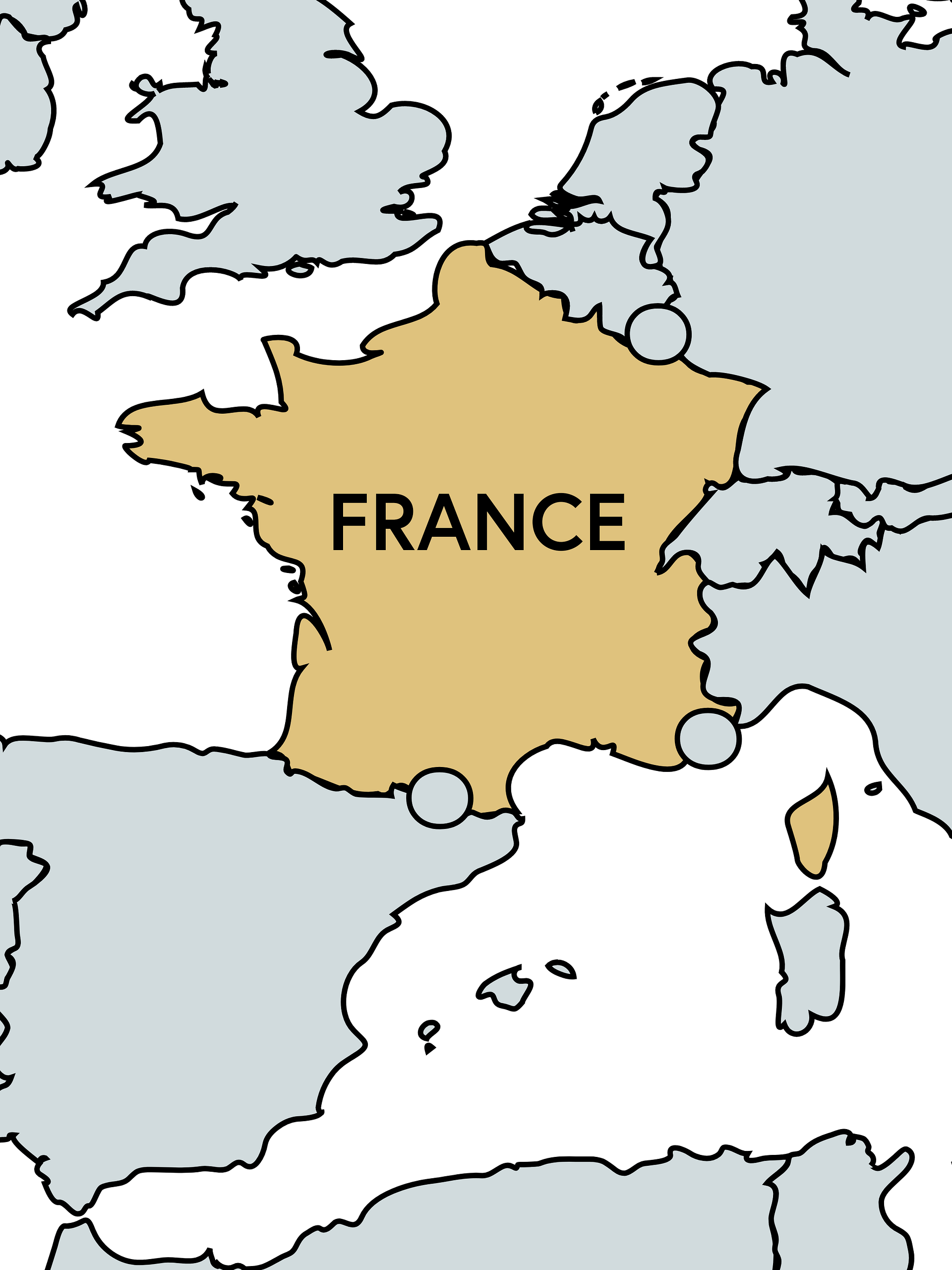 Risk Snapshot - France product image (1)