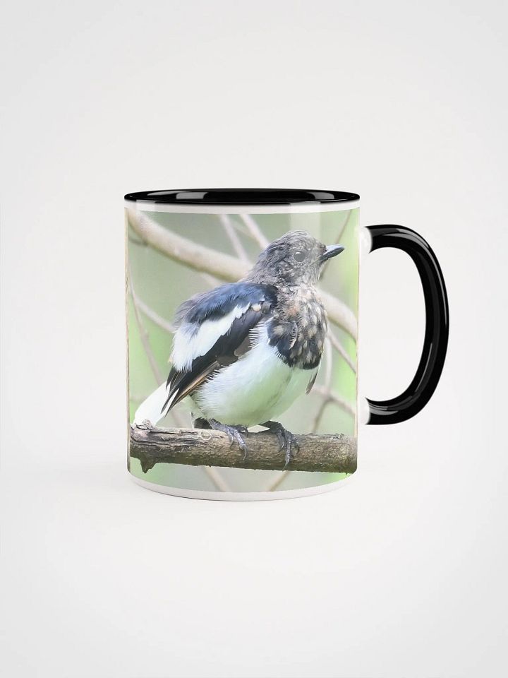 IUCAA Birds: Ceramic Mug with Color Inside product image (1)