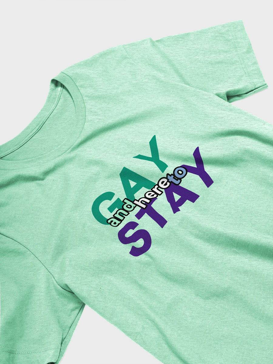 gay and here to stay (mlm) t-shirt product image (3)