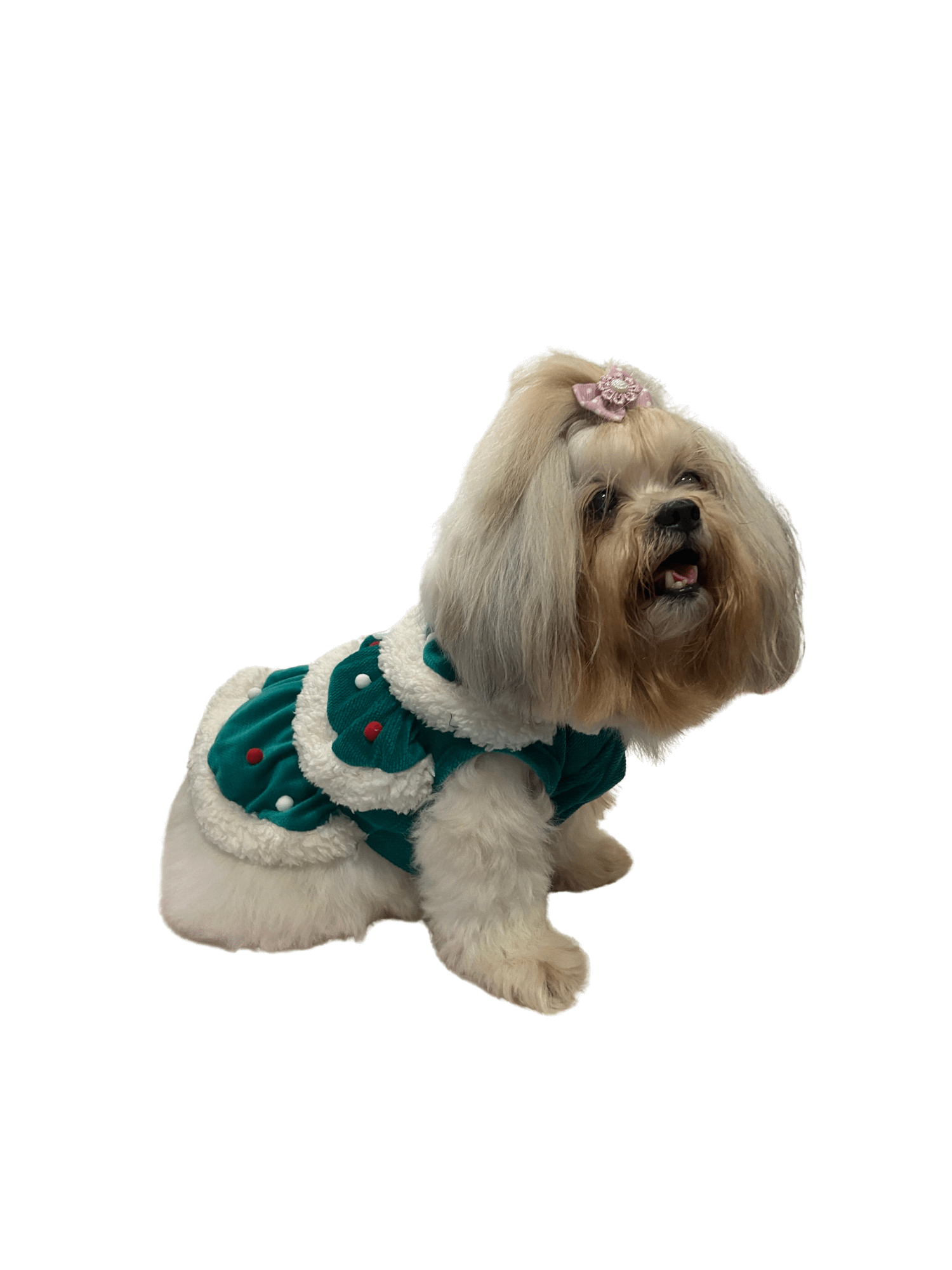 Vestido Pet Árvore Encantada - Modelagem Pet PDF product image (2)