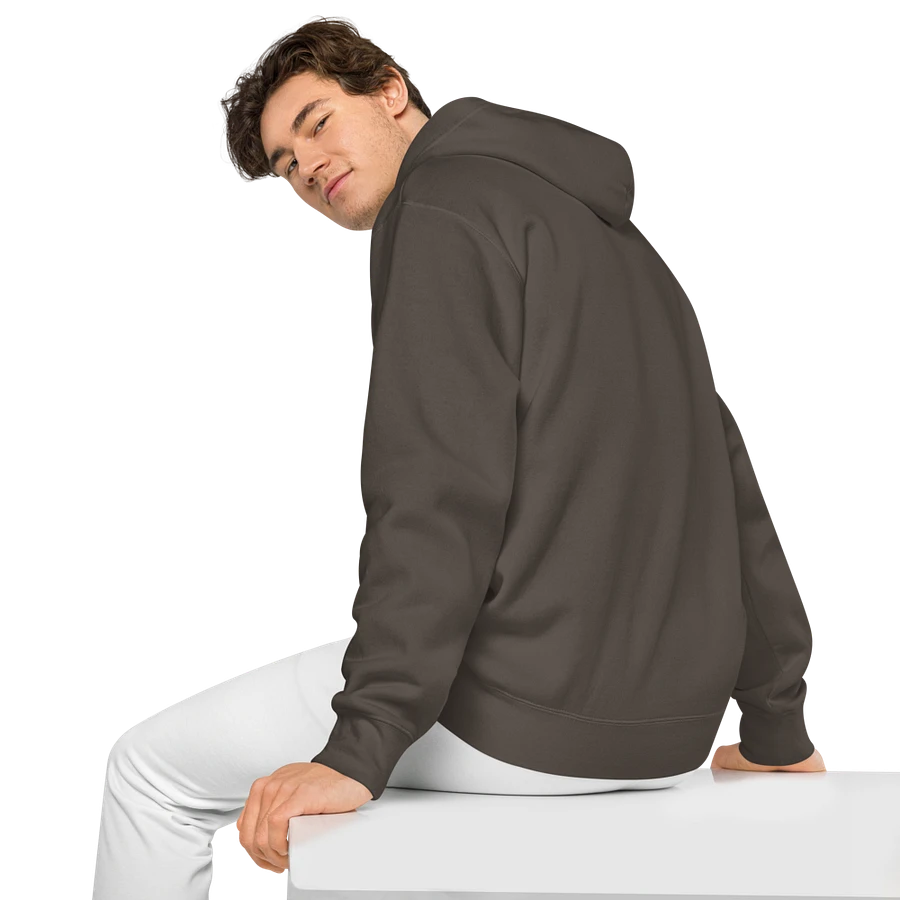 Fancy Hoodie product image (5)