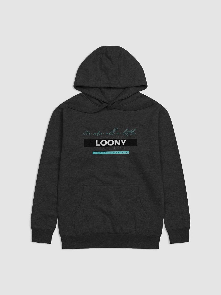 We are all a little Loony (unisex hoodie) product image (1)