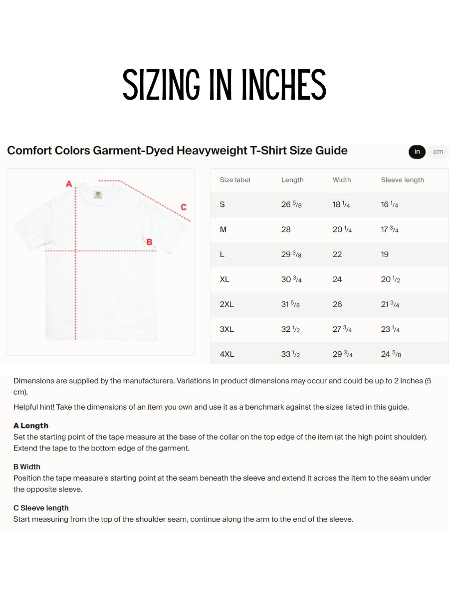 Wanted Dirty Bird Gang Women's Comfort Colors Heavyweight T-shirt product image (4)