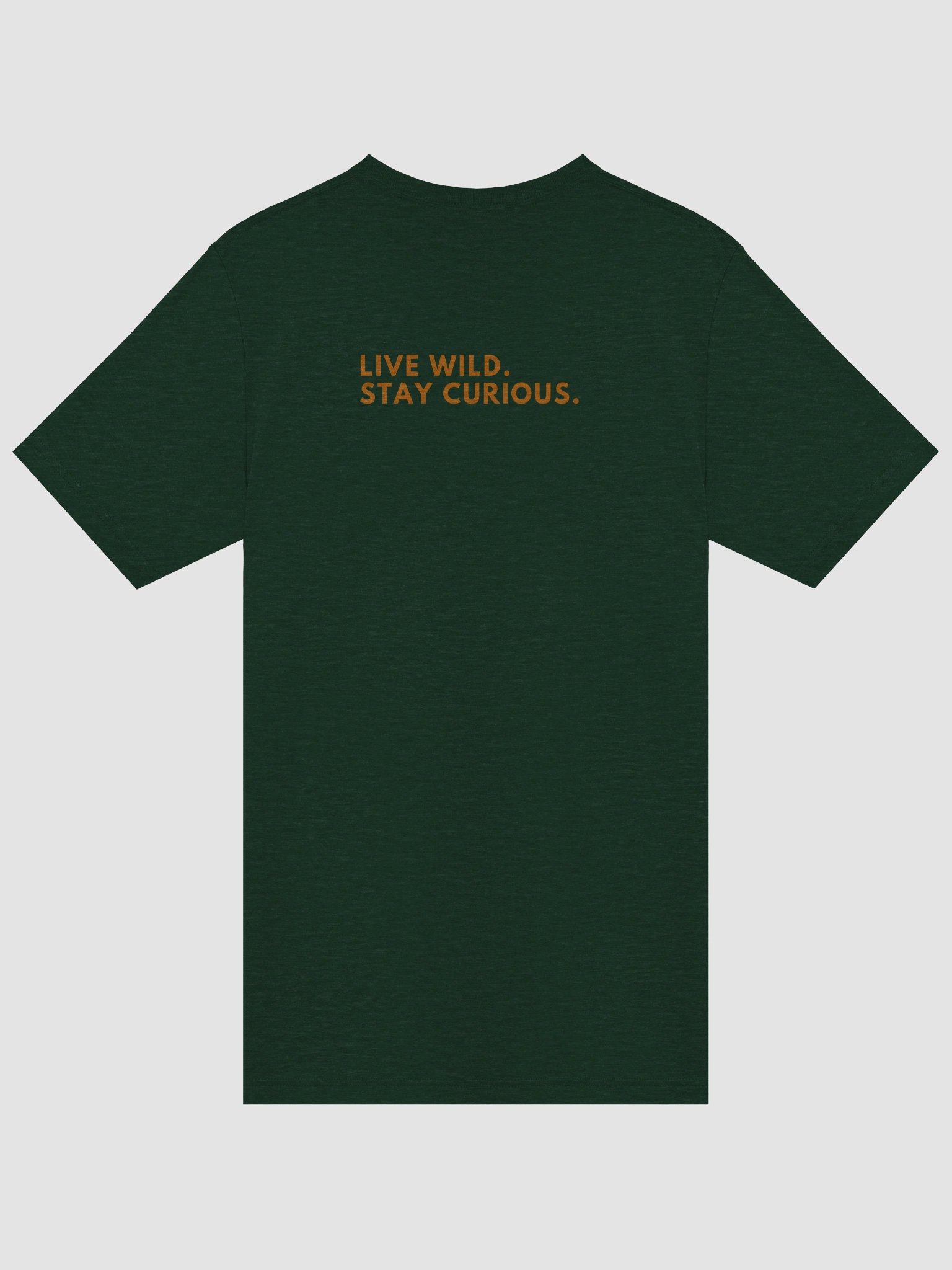 Tri-Blend Tee | Live Wild. Stay Curious. product image (4)