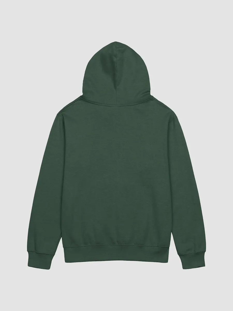 BPL Pride Midweight Hoodie product image (17)