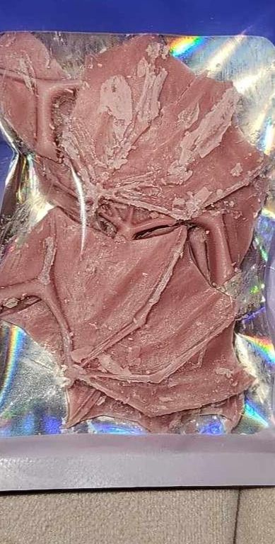 bat wing wax melt (10 in each pack) product image (2)