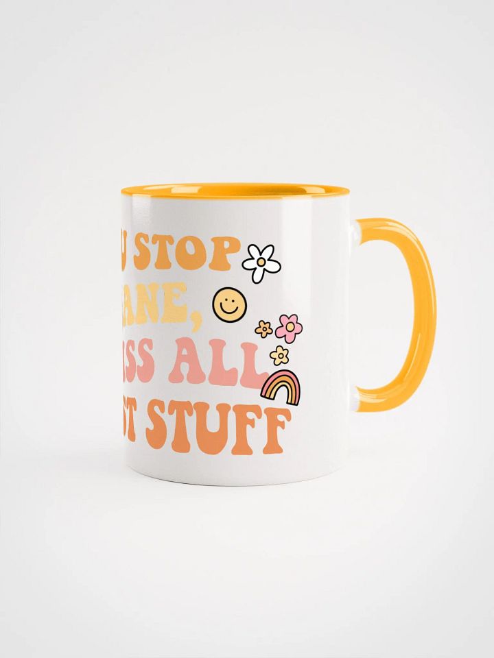 Don't Stop at Sane Ceramic Mug product image (1)