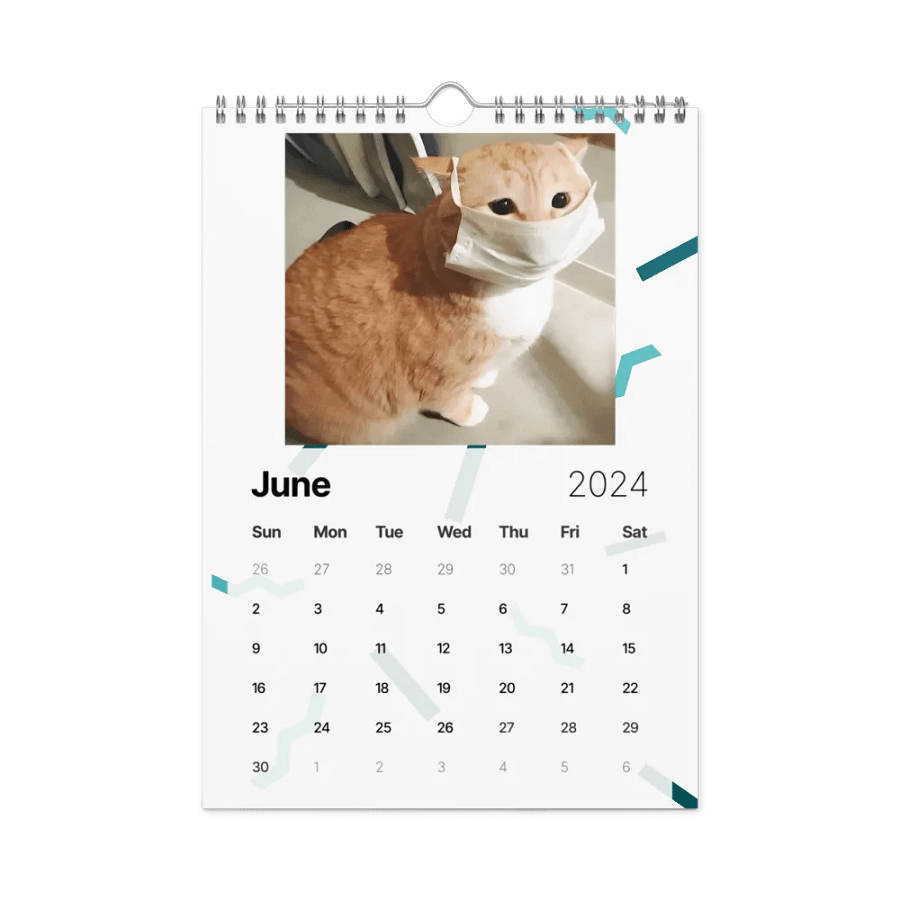 Wall Calendar (2024): Meme Cats product image (12)