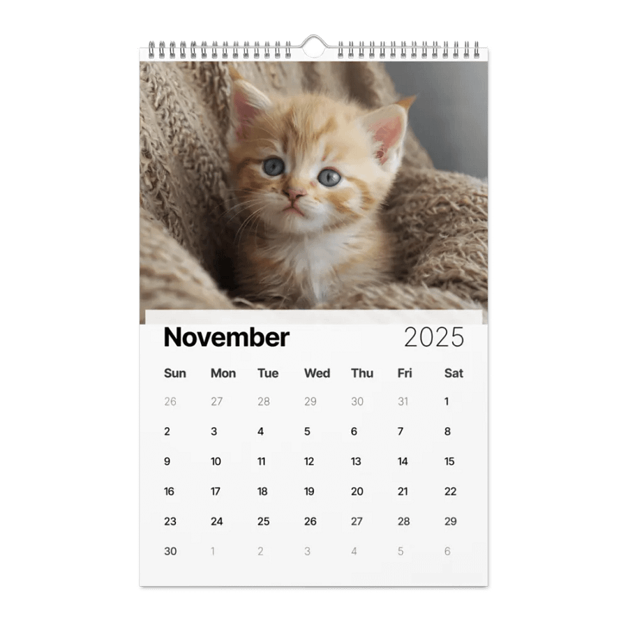 They are Sooooo Cute! CZ229 Kittens Calendar product image (11)
