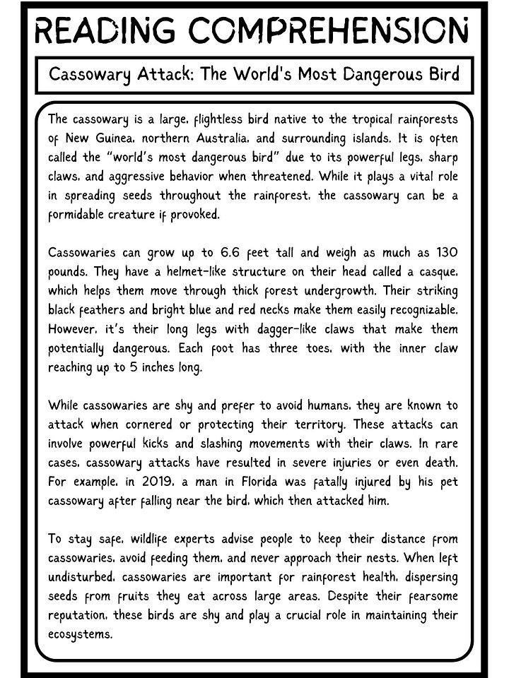 Cassowary Attack Reading Comprehension Passage PDF product image (2)