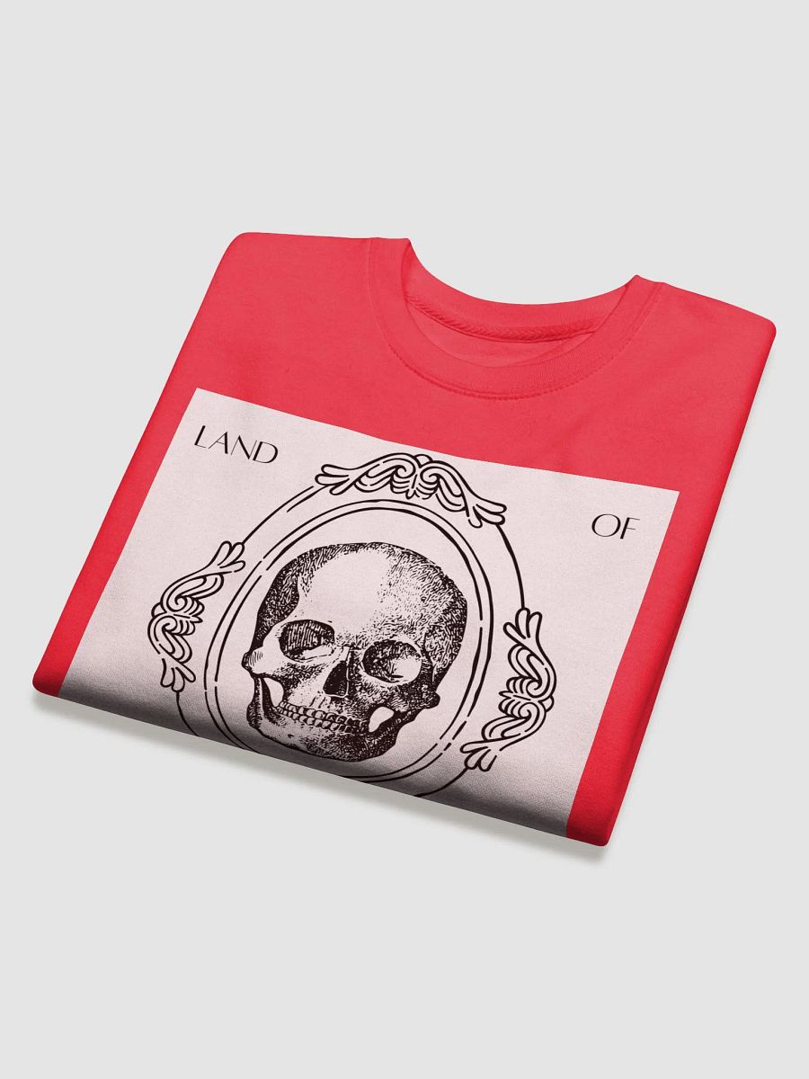 Land of the Fake Mirror Sweater product image (4)