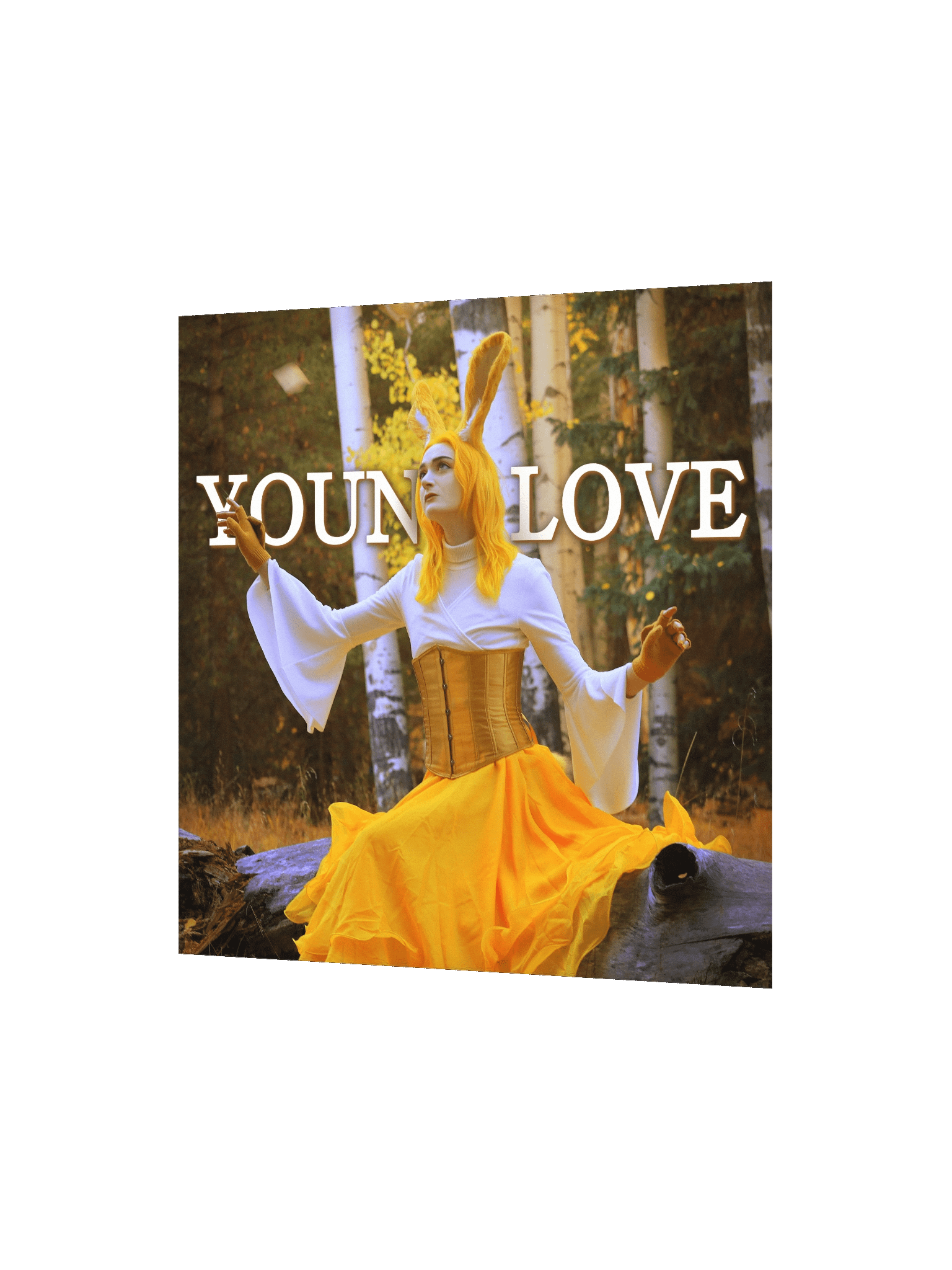 Young Love Poster [3 of 4] product image (2)