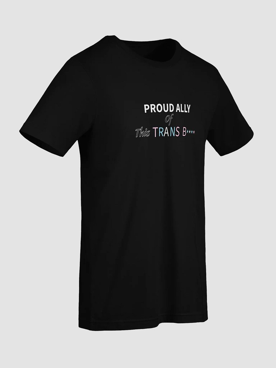 Pretty Proud Ally T (Trans) product image (35)