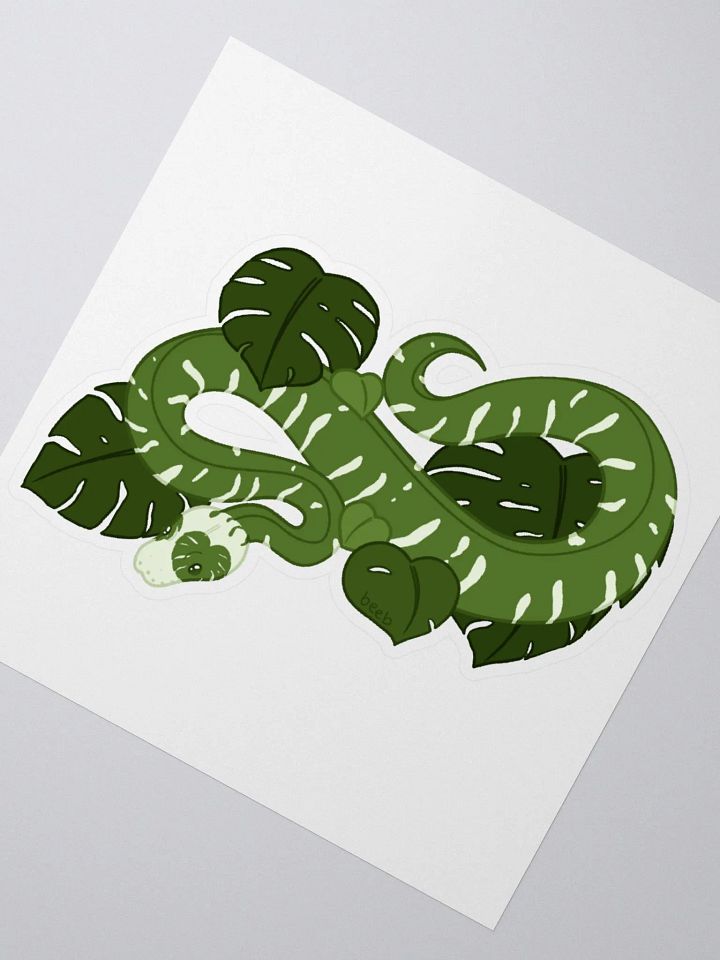 NEW Monstera Deliciosa Houseplant Snake product image (2)
