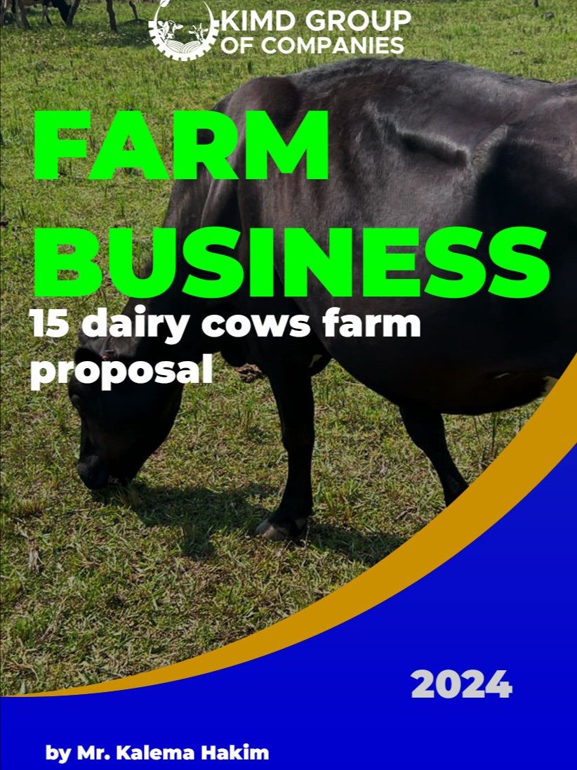 15 Dairy Cows Business Plan product image (1)