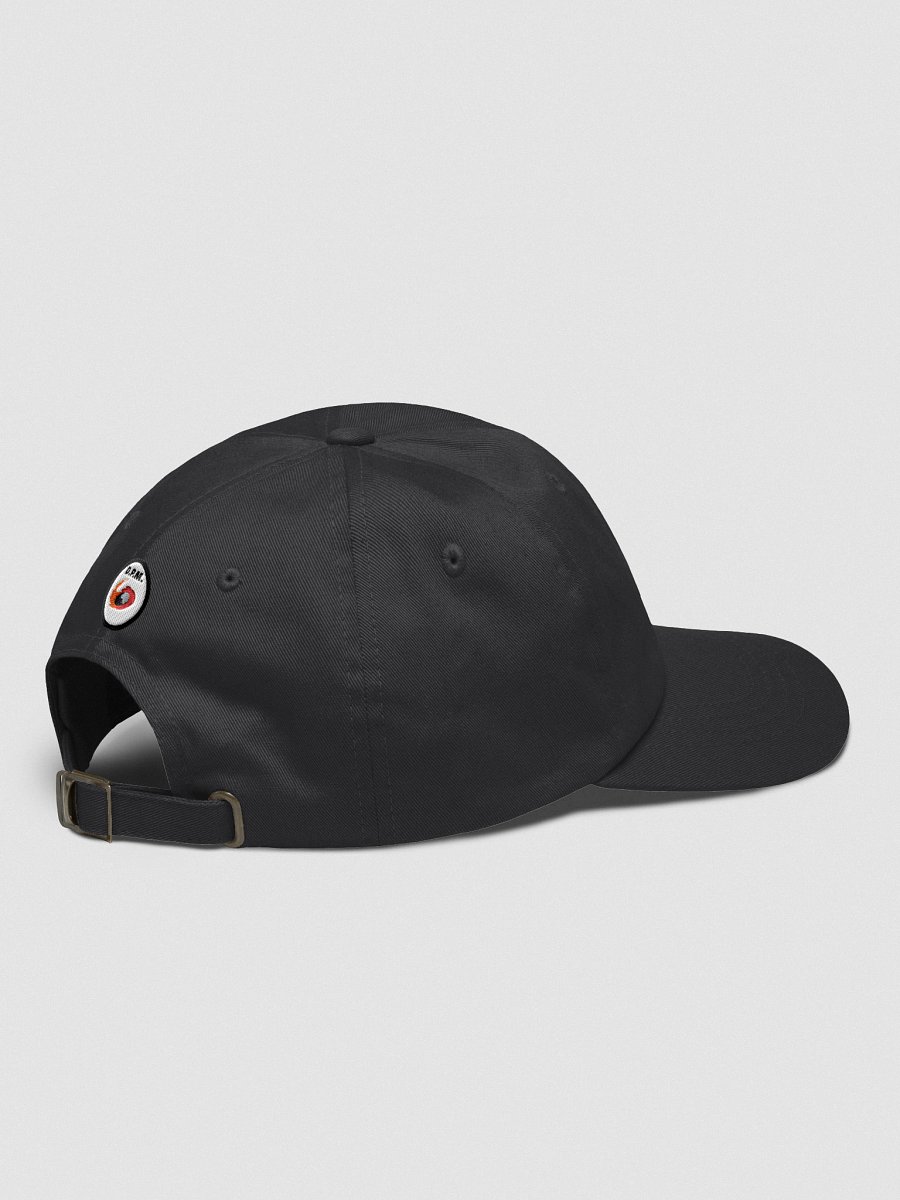 HiBruiNation Logo Hat product image (4)