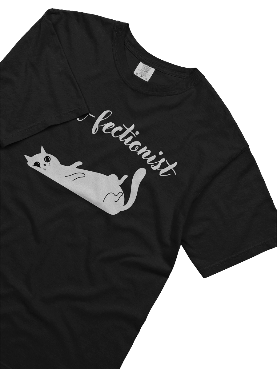 Purrfectionist-Tee product image (18)