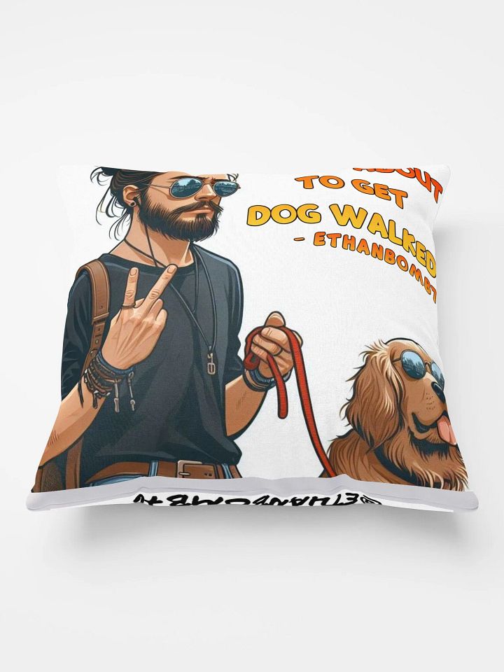 ETHAN - PILLOW product image (1)