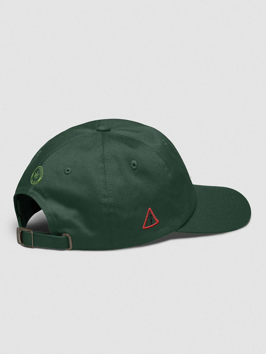 100% Natural | Dad Hat product image (5)