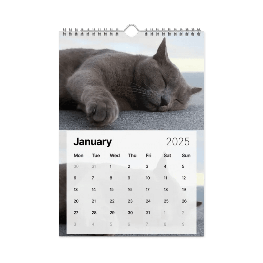Calendar 2025 - Cats *meow* product image (6)