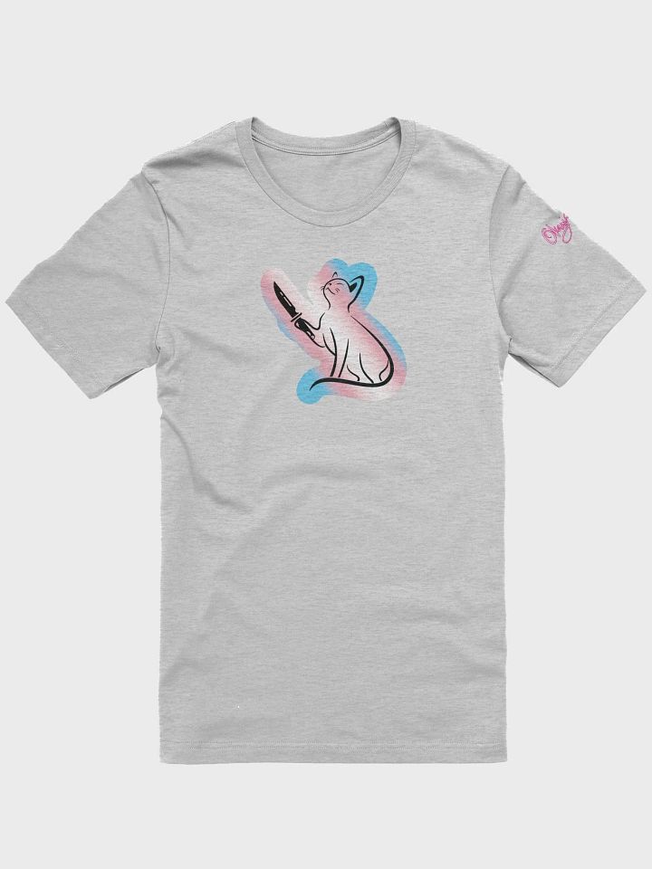 OkayishAF Trans Rights Cat product image (1)