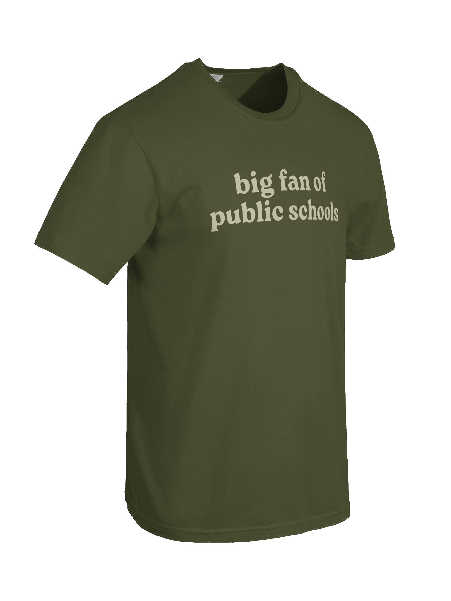 Big Fan of Public Schools Tee product image (8)